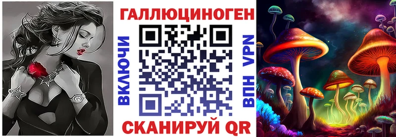 Псилоцибиновые грибы Psilocybe  Купить закладки  Луза 